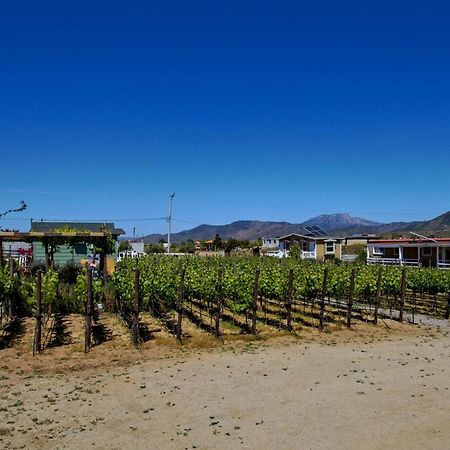 3333 Luz Del Valle Hotel Boutique Valle de Guadalupe Esterno foto