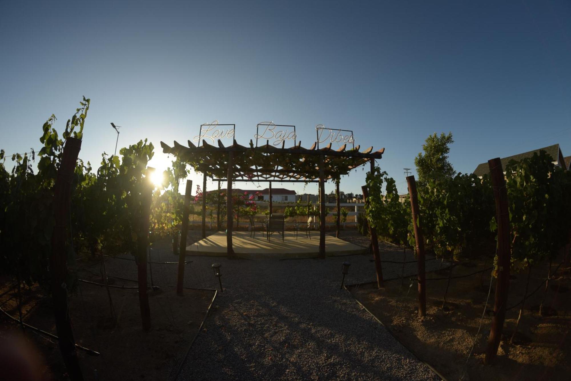 3333 Luz Del Valle Hotel Boutique Valle de Guadalupe Esterno foto